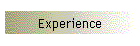 Experience