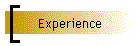 Experience